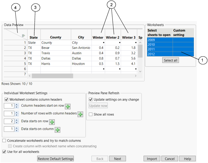 Excel Import Wizard Preview