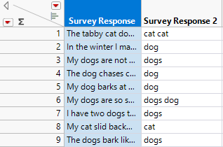 Data Table with New Columns