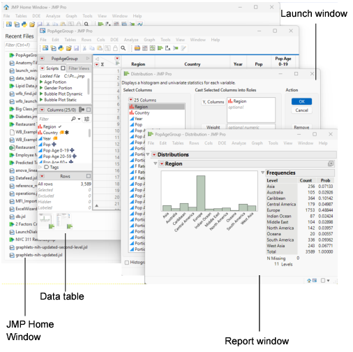 Anatomy of a Typical JMP Session on Windows