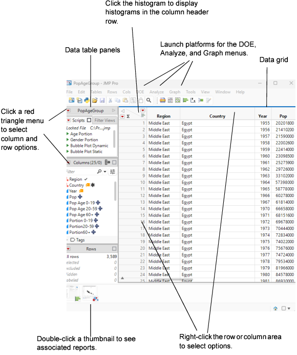 Data Table Features