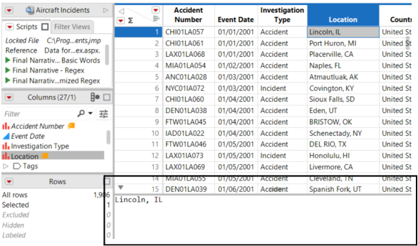 The Opened Data Grid Edit Pane