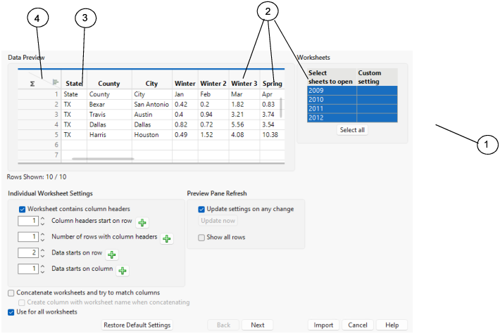 Excel Import Wizard Preview