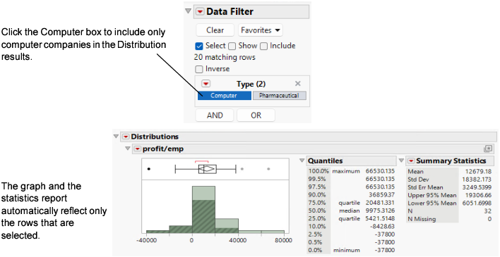 Filter for Computer Companies