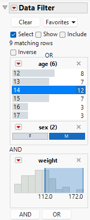 Data Filter with Grouped by AND Condition