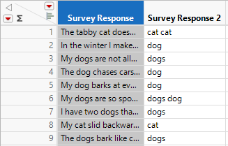 Data Table with New Columns